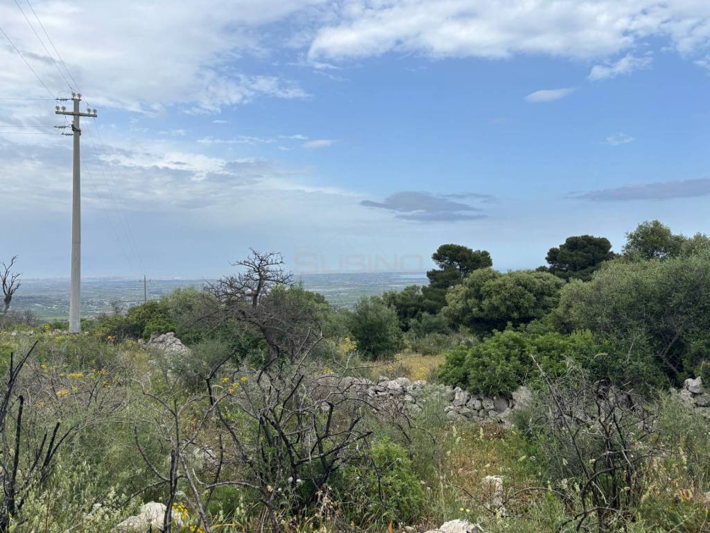 Terreno a Noto in CUGNI - Foto 4