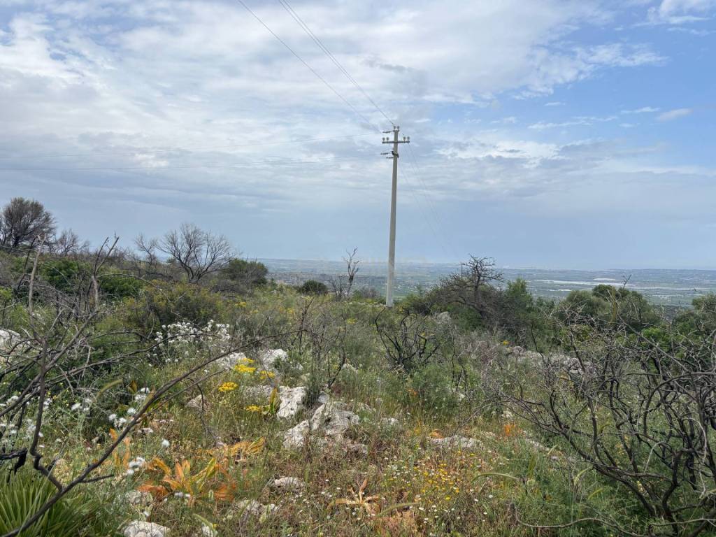 Terreno a Noto in CUGNI - Foto 5
