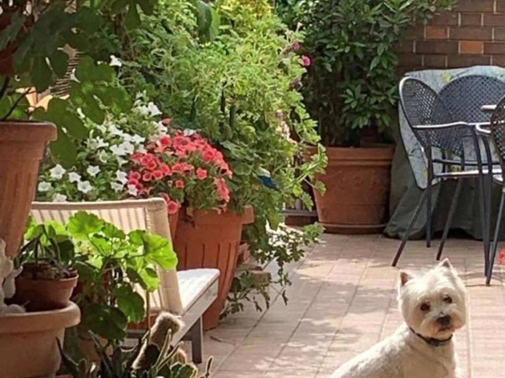 Appartamento a Alessandria in Neighbourhood: Pista - Foto 2