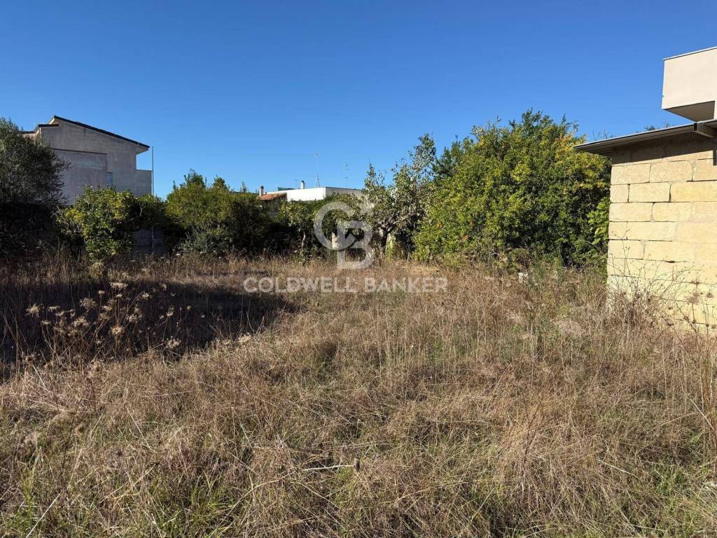 Terreno a Carpignano salentino in Via Bellini - Foto 3