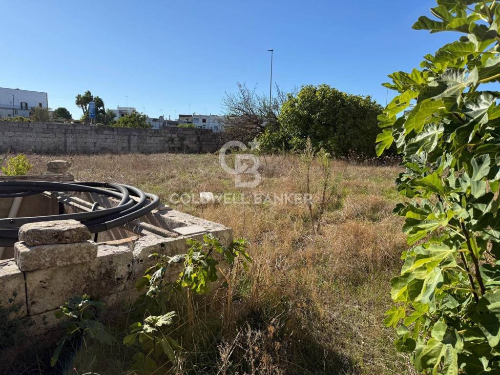 Terreno a Carpignano salentino in Via Bellini - Foto 5