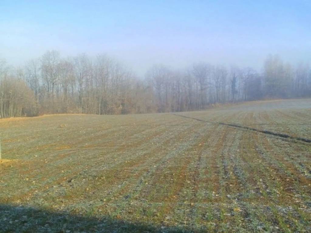 Rustico / casale a Gropparello - Foto 2