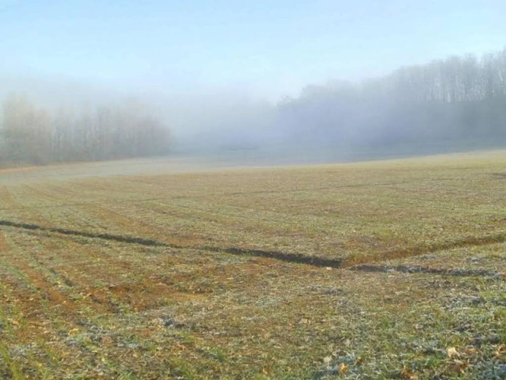 Rustico / casale a Gropparello - Foto 5