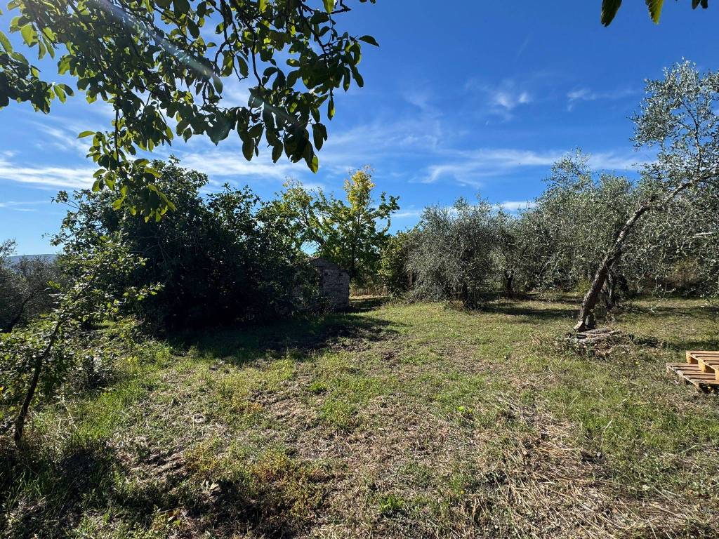 Terreno a Campobasso - Foto 2