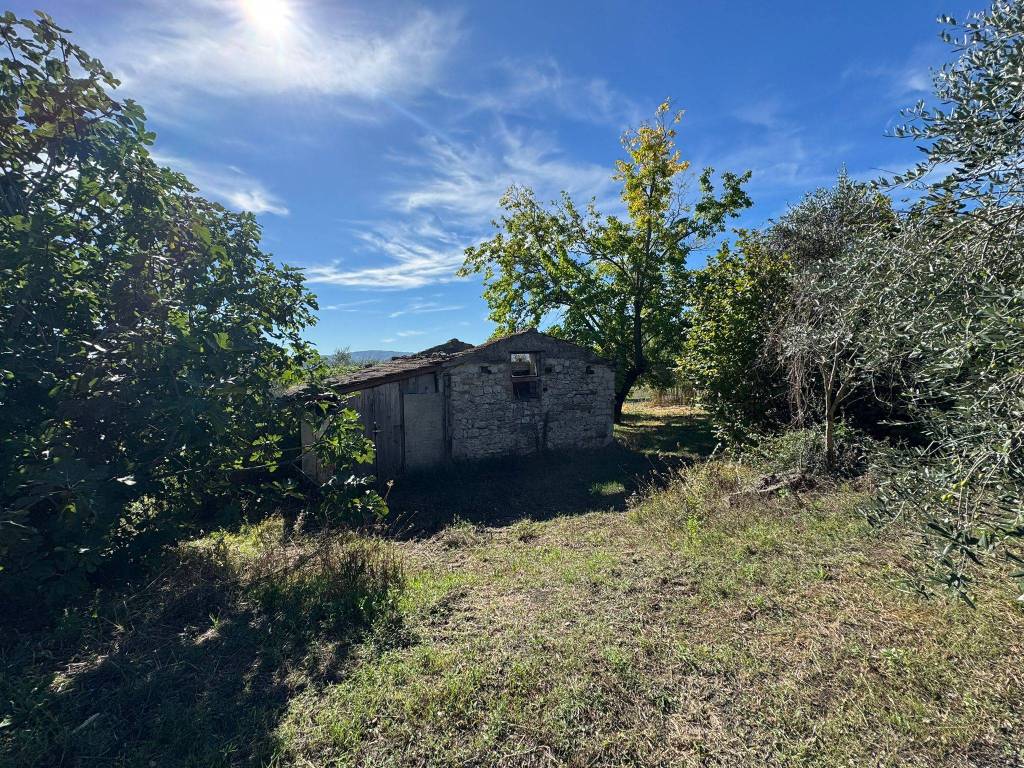 Terreno a Campobasso - Foto 4