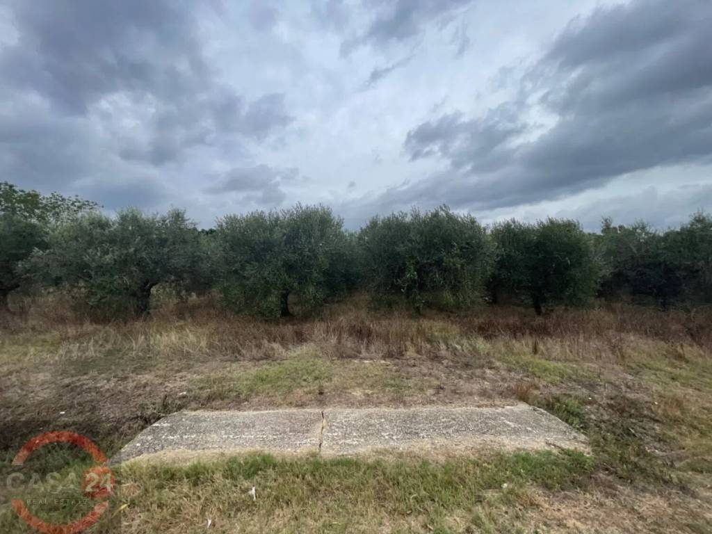 Terreno a Cisterna di latina in Via Dell'Anatra - Foto 4
