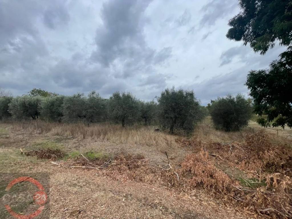 Terreno a Cisterna di latina in Via Dell'Anatra - Foto 5