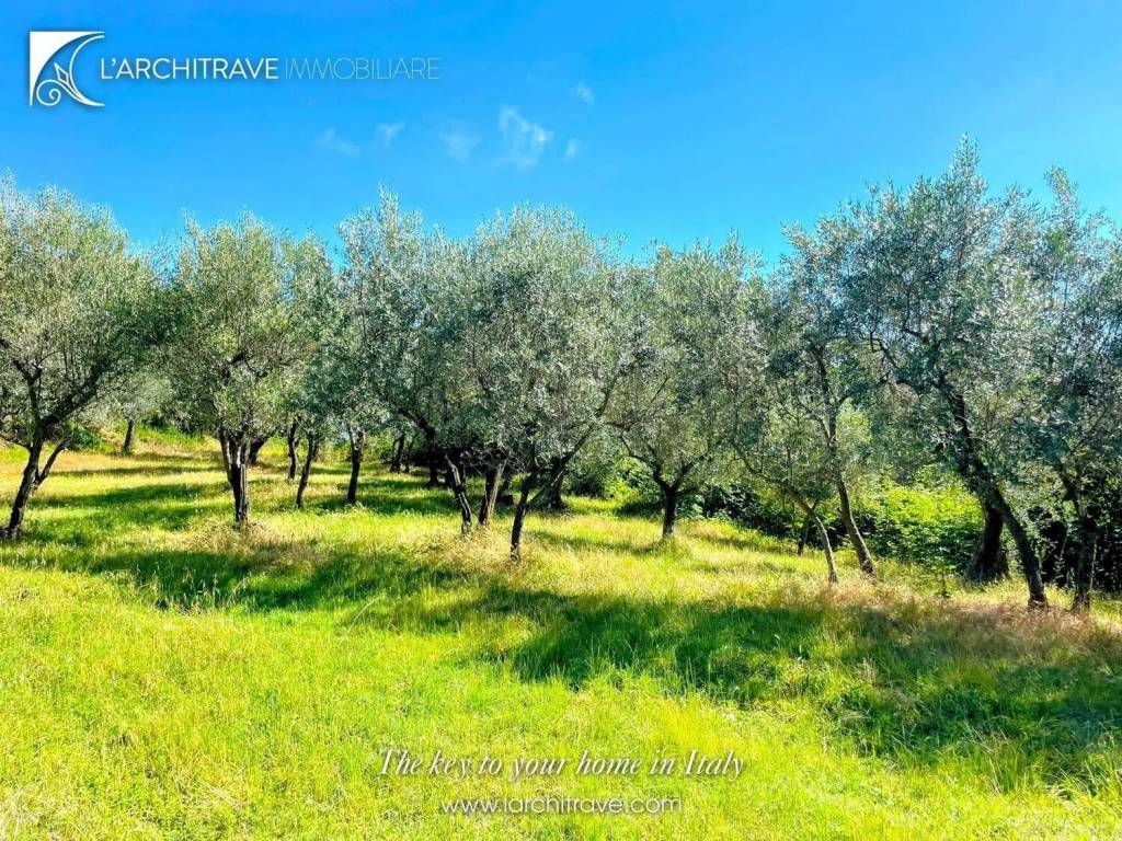 Villa a Lajatico - Foto 2