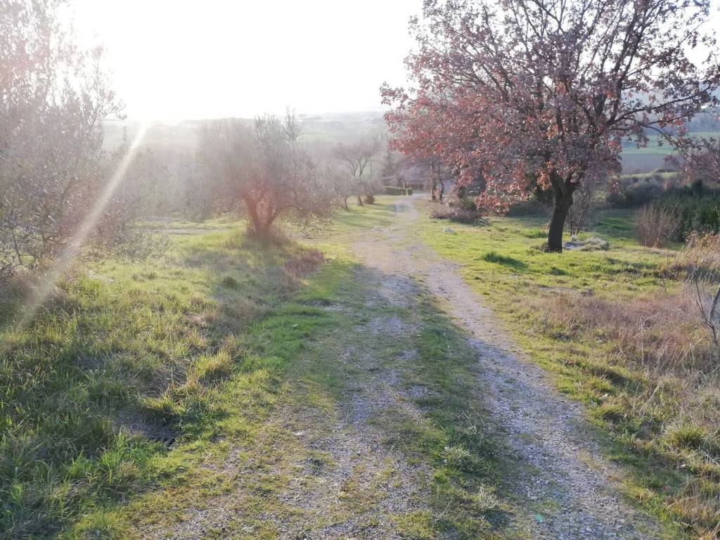 Terreno a Assisi in Via Villanova No Number - Foto 2