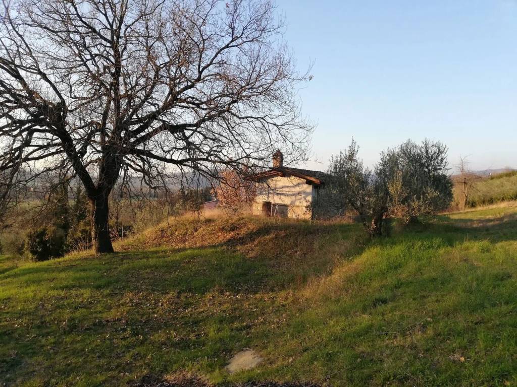 Terreno a Assisi in Via Villanova No Number - Foto 3