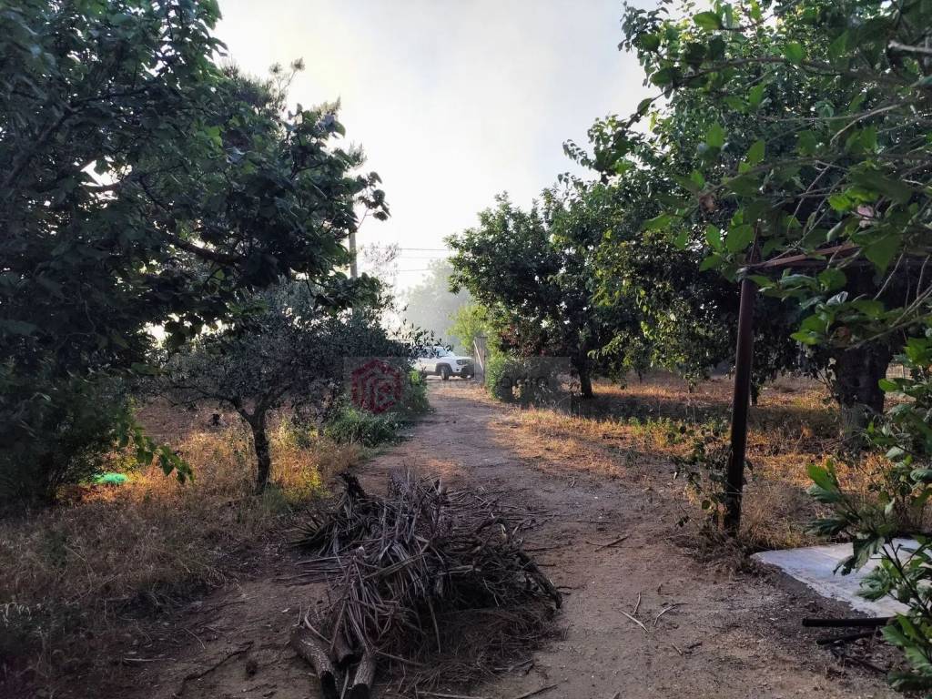 Villa a Vittoria in Contrada Pozzo Bollente - Foto 3