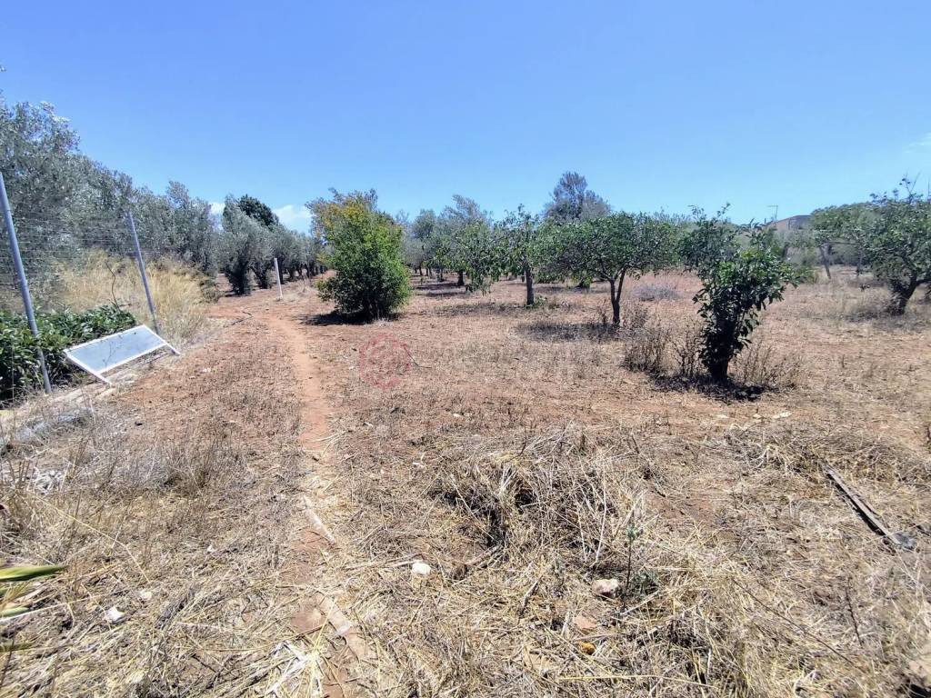 Villa a Vittoria in Contrada Pozzo Bollente - Foto 5