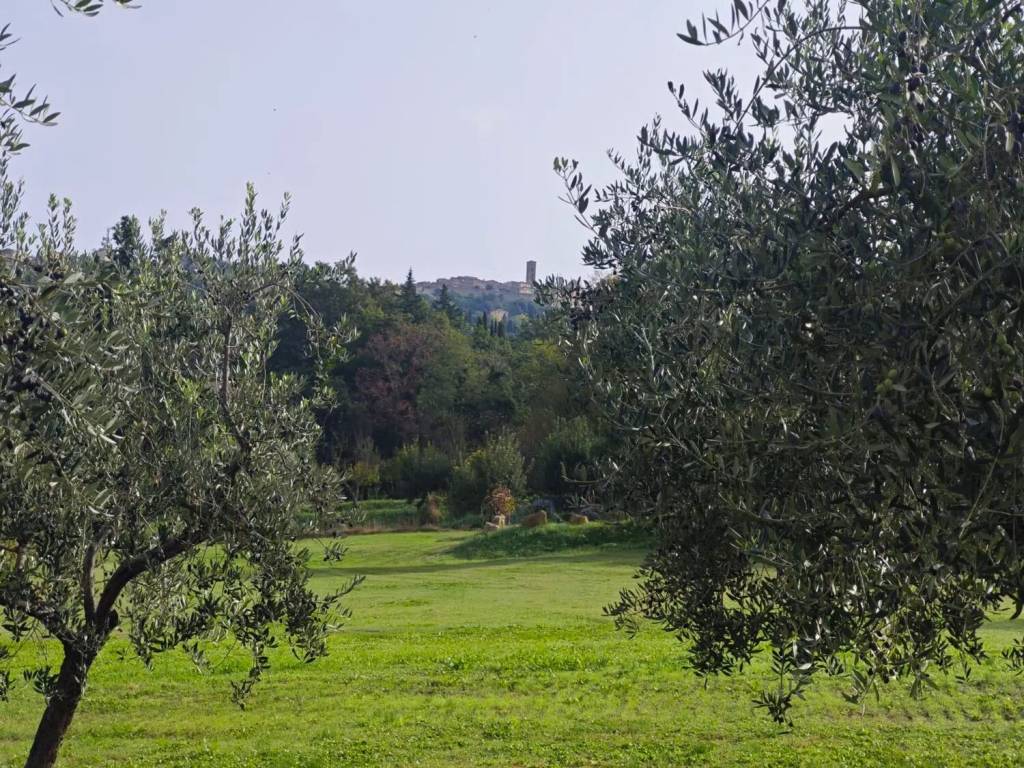 Appartamento a Volterra in Via Guarnacci, 13 - Foto 5