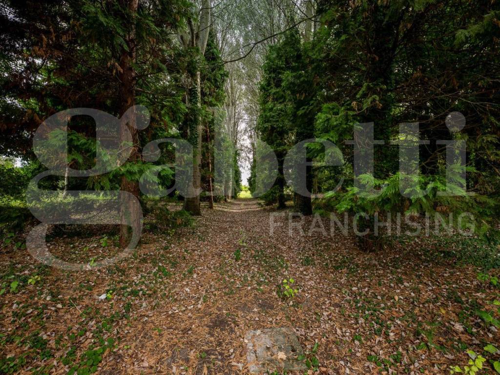 Villa a Saonara in via brentasecca, 22 - Foto 5