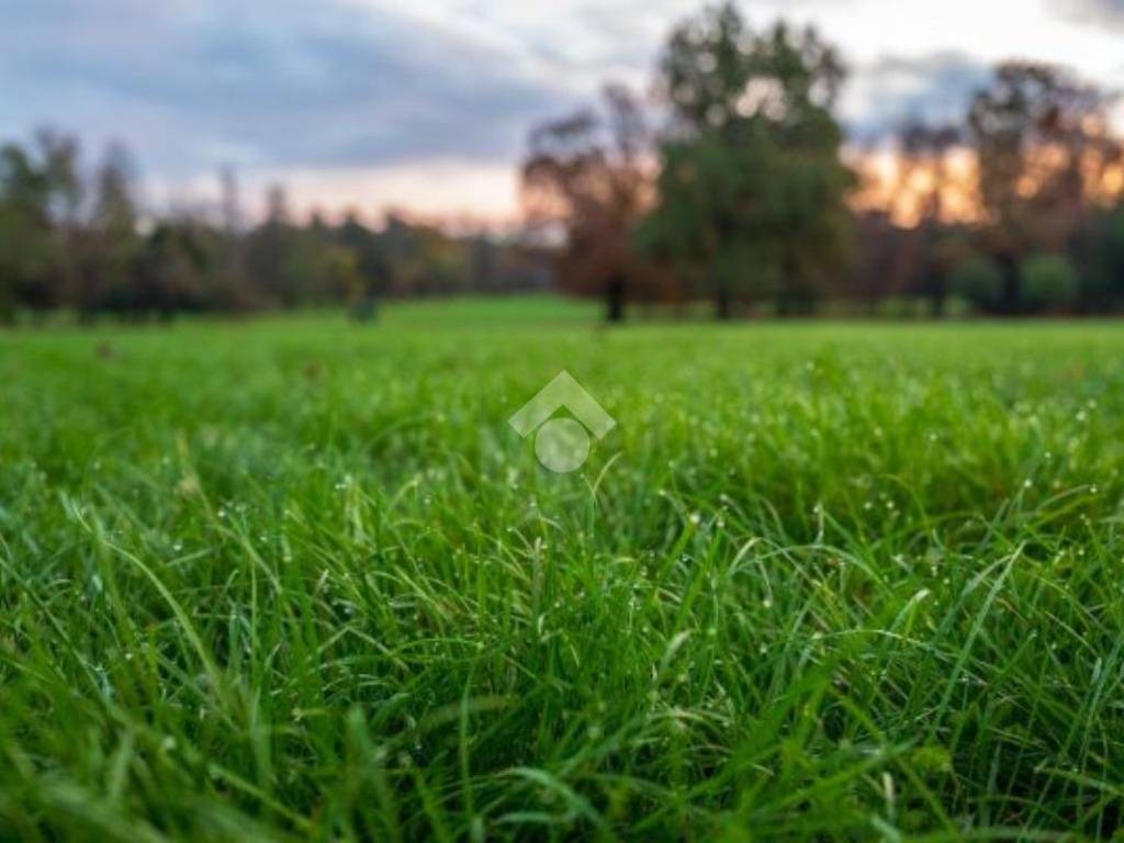 Terreno a Monastier di treviso - Foto 2