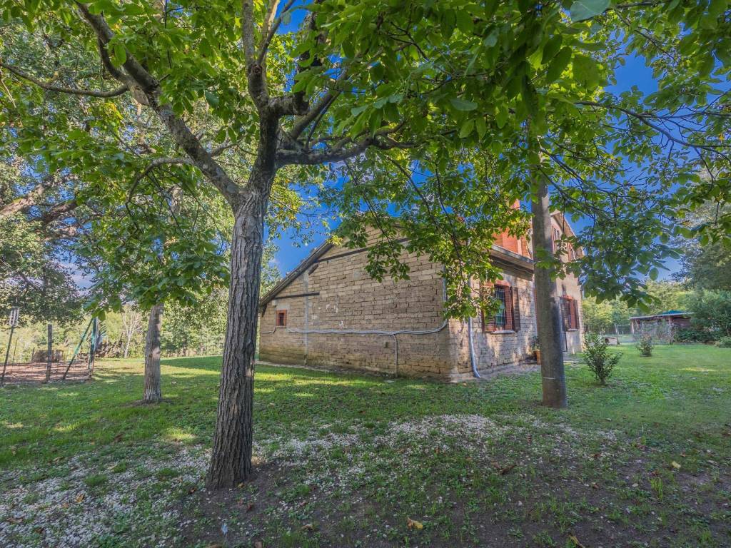 Rustico / casale a Semproniano in Via Roma - Foto 5