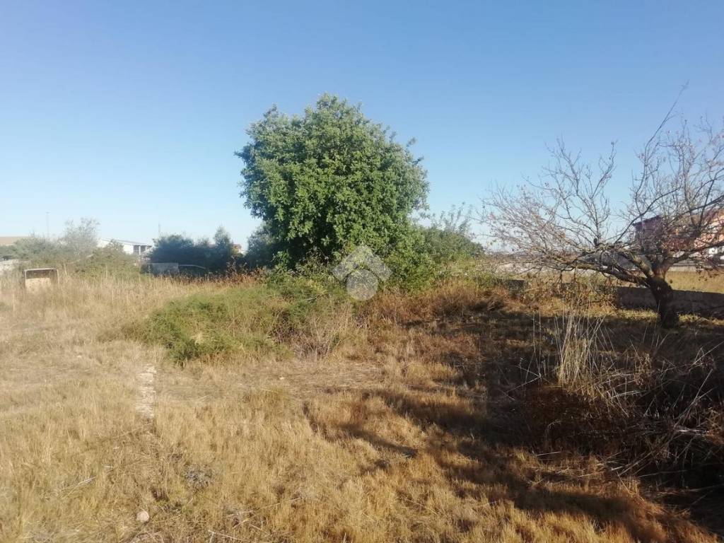 Terreno a Ragusa in Via Via Luigi Renzetti, 12 - Foto 2