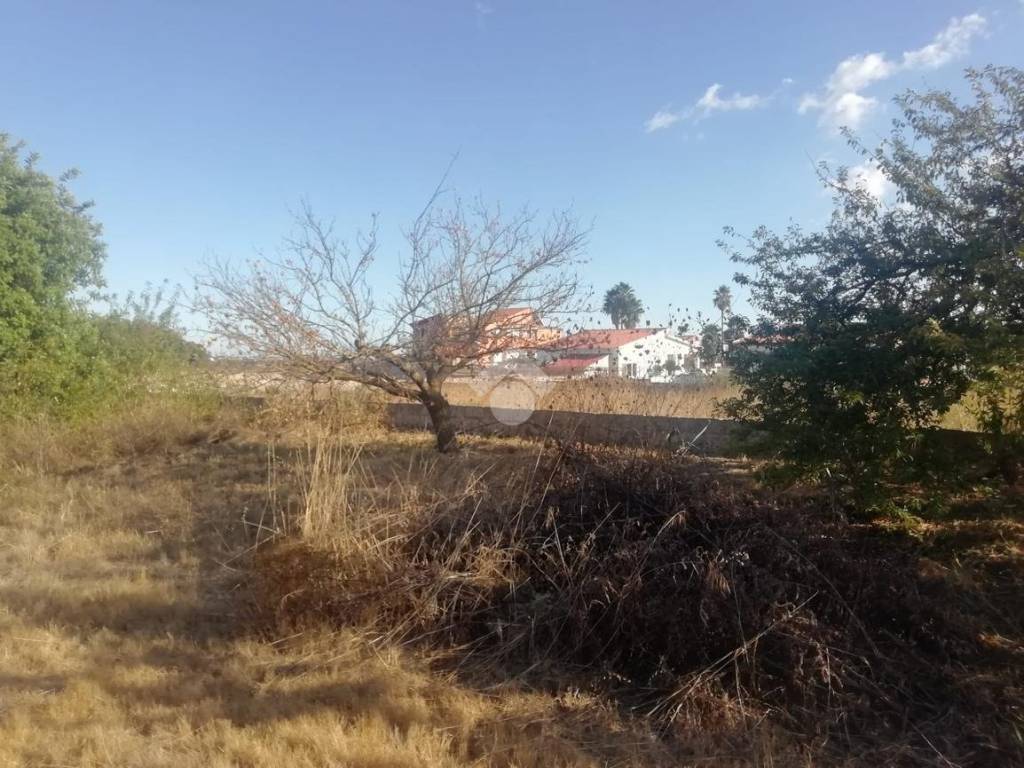 Terreno a Ragusa in Via Via Luigi Renzetti, 12 - Foto 3
