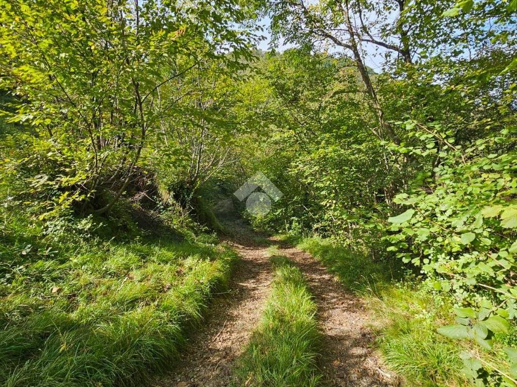 Terreno a Sabbio chiese in Via Fontana - Foto 4