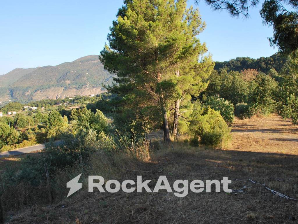 Terreno a Trecchina in Contrada Santa Caterina - Foto 3