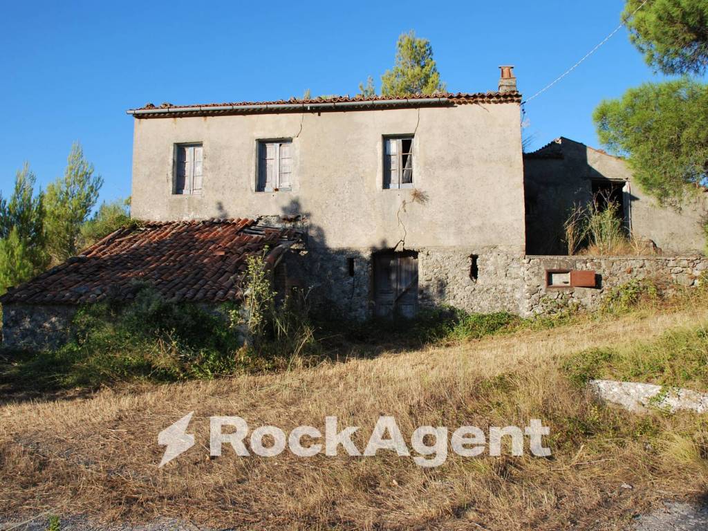 Terreno a Trecchina in Contrada Santa Caterina - Foto 4