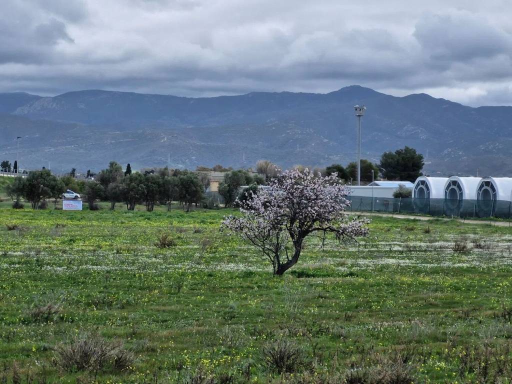 Terreno a Quartucciu in Via Delle Primule S.N.C. - Foto 3