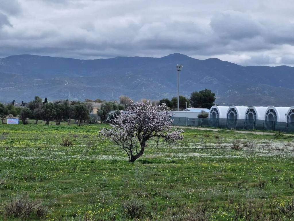 Terreno a Quartucciu in Via Delle Primule S.N.C. - Foto 4