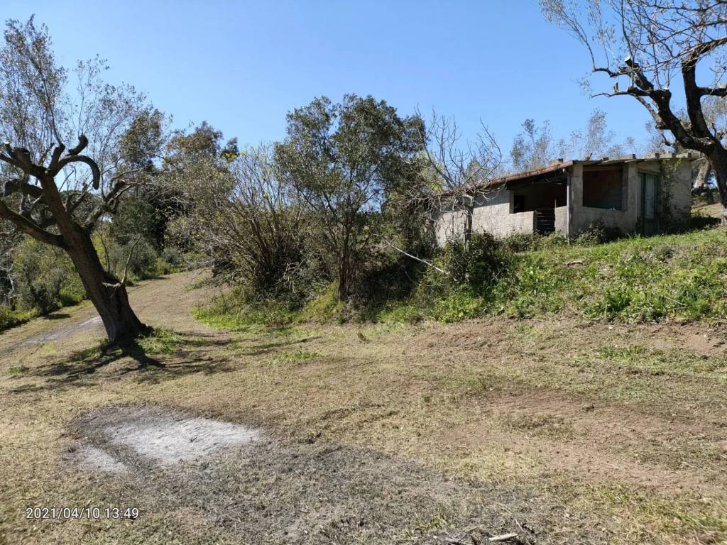 Rustico / casale a Centola in San Nicola - Foto 2