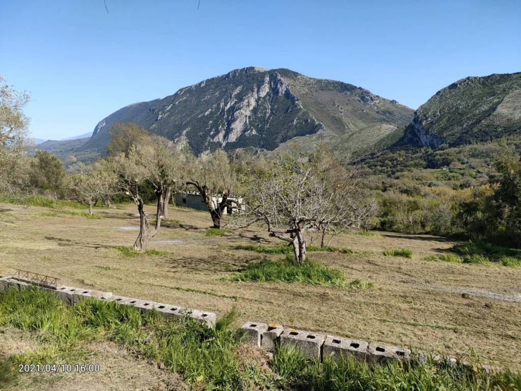 Rustico / casale a Centola in San Nicola - Foto 4