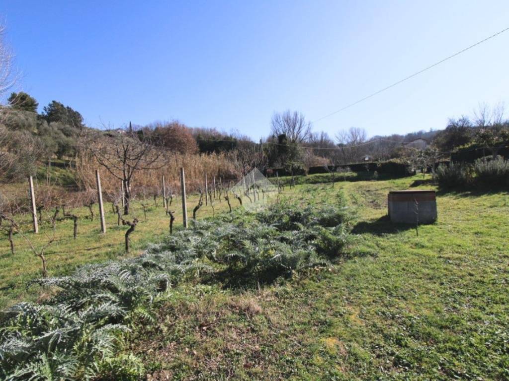 Terreno a Poggio mirteto in VIA FONTE CUPIDO - Foto 3
