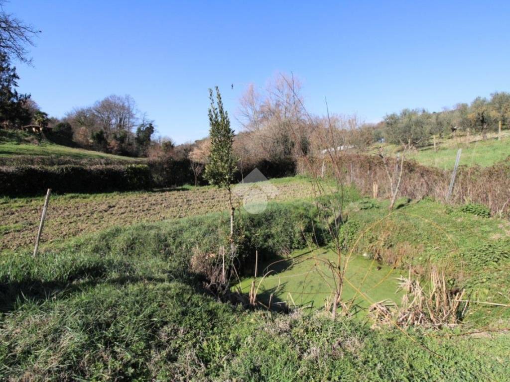 Terreno a Poggio mirteto in VIA FONTE CUPIDO - Foto 4