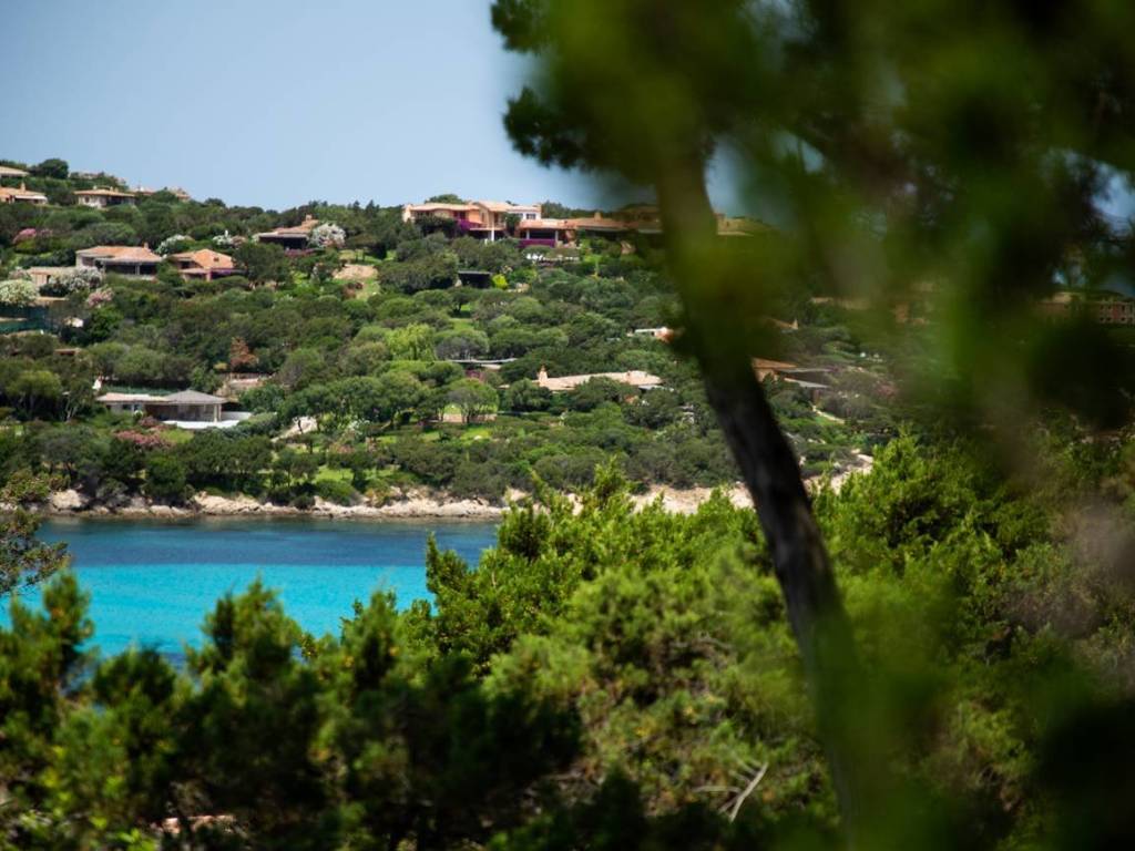 Appartamento a Arzachena in Porto Cervo - Cala Granu - Foto 3