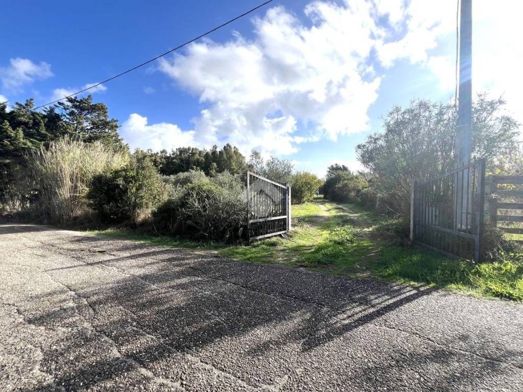 Terreno a Santa giusta in Località Santu Arzou - Foto 3