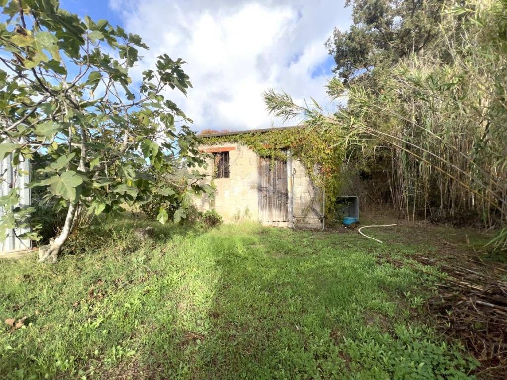 Terreno a Santa giusta in Località Santu Arzou - Foto 4