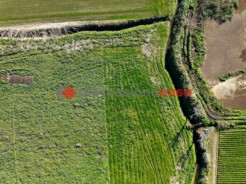 Terreno a Capaccio paestum in Via La Pila - Foto 2