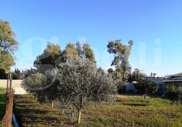 Terreno a Oristano - Foto 2