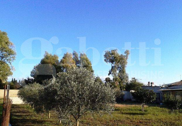 Terreno a Oristano - Foto 4