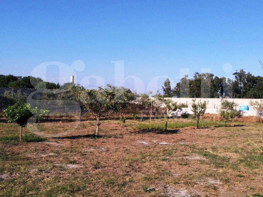Terreno a Oristano - Foto 5