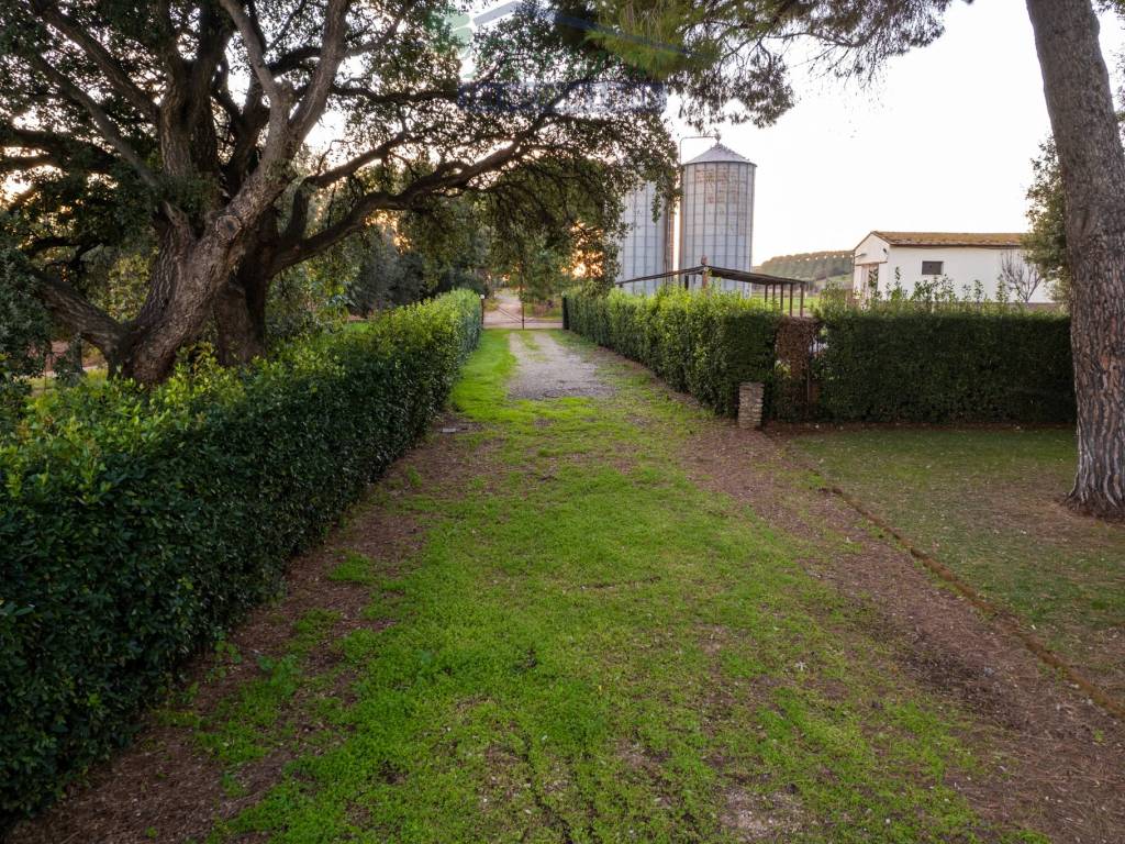 Rustico / casale a Capalbio in Strada dell'Abbadia - Foto 5