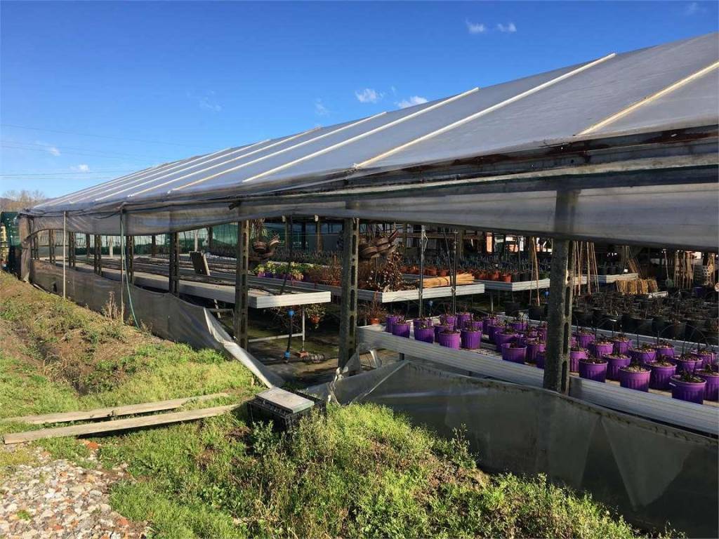 Immobile a Ponte buggianese in Ponte Buggianese - Foto 2