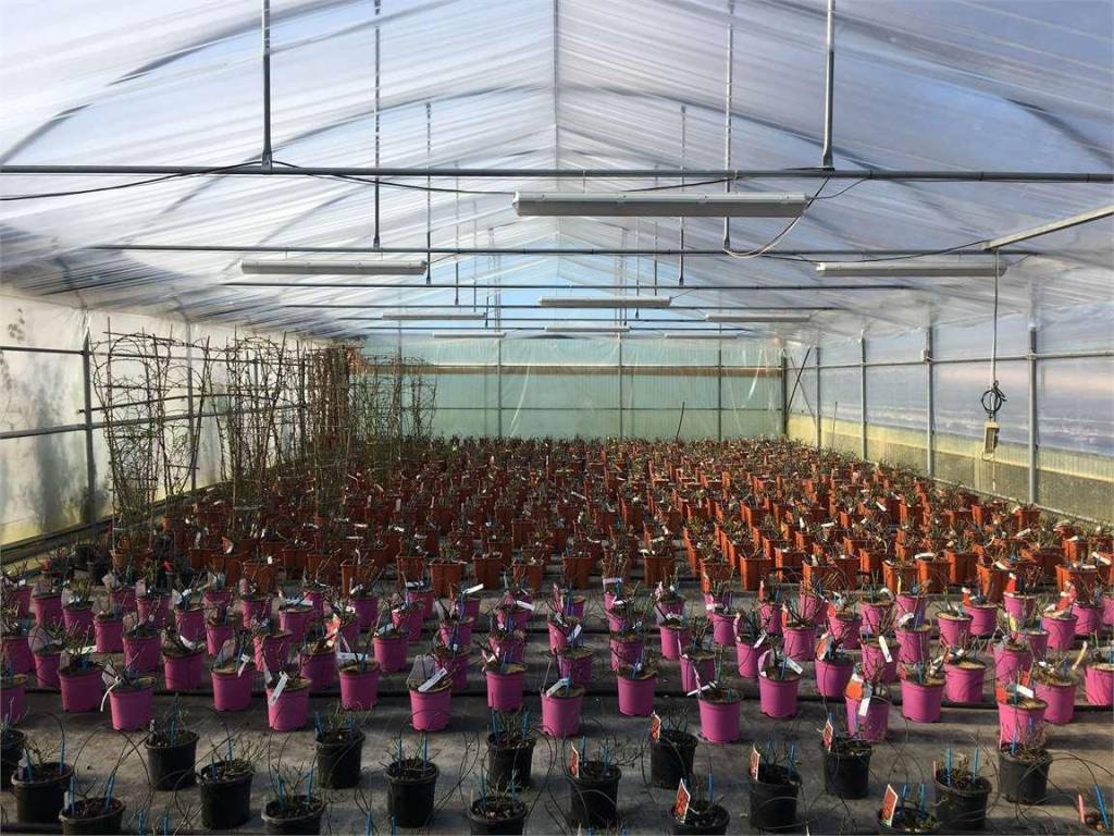 Immobile a Ponte buggianese in Ponte Buggianese - Foto 4