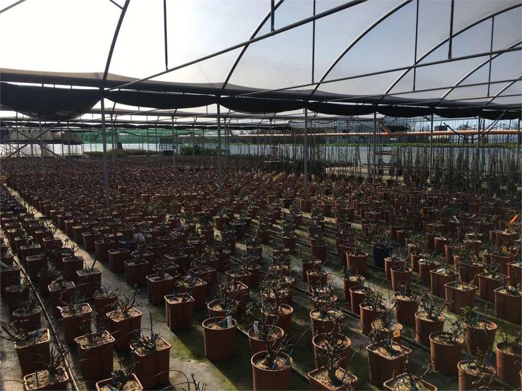 Immobile a Ponte buggianese in Ponte Buggianese - Foto 5