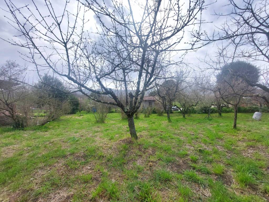 Villa a Paliano in Contrada Prato Giglio - Foto 3