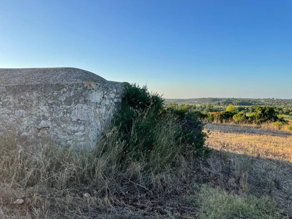 Rustico / casale a Ceglie messapica in SP16 - Foto 2