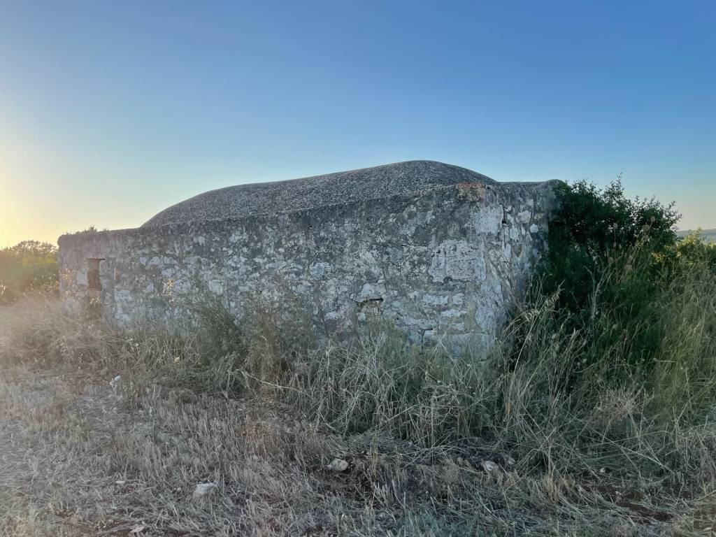 Rustico / casale a Ceglie messapica in SP16 - Foto 3