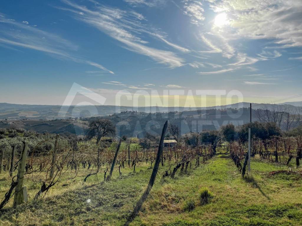 Terreno a Monte roberto - Foto 2