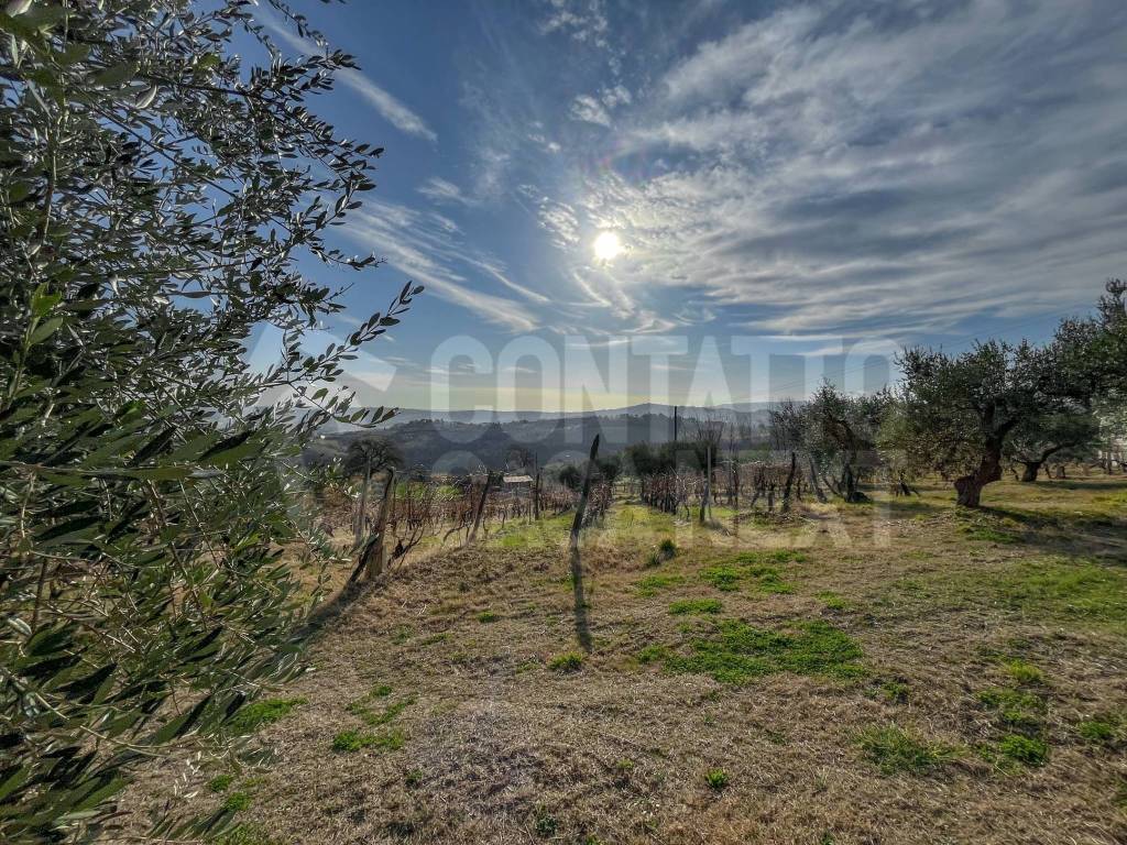 Terreno a Monte roberto - Foto 3