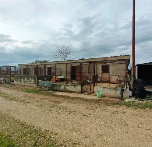 Rustico / casale a Santeramo in colle in Contrada Montefreddo - Foto 3
