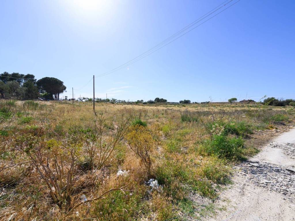 Terreno a Vittoria in SP97 - Foto 5