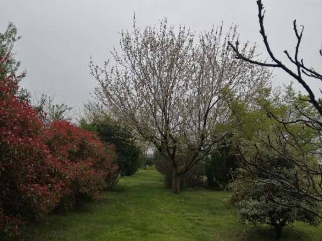Terreno a Gradisca d'isonzo in Via dei Campi - Foto 3